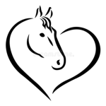 A.E.W RIDING ACADEMY