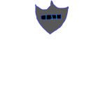 Medival Group.