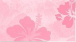 PINK POLM