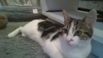 Angle the best