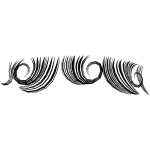 Black Curly Edges