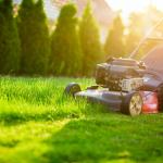 Lawn Mowers Inc.