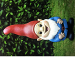 GNOME'S FAN CLUB?!