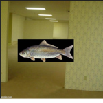 The Backrooms Fish