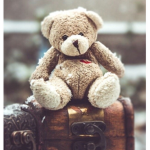 The Bear Berets