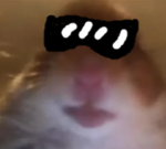 The CheeseyZ