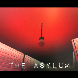 The asylum