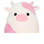 the real squishmallow fan club