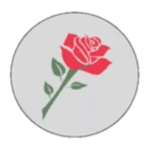 Red Rose Organization