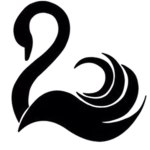 Black Śwans