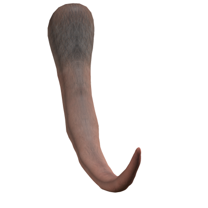 Rat Tail thumbnail
