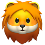 theorangeminecart //lucas124 // Fan Club