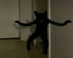 Samuel A New Roblox Myth