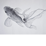 United _fish army