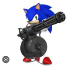 Team sonic also beluga and hecker