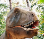 Dino Development Studios Inc