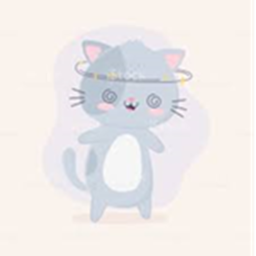 CatCrazy Obby!