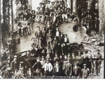 Lumber history