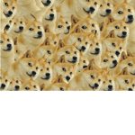 doge master army