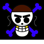 The Diamond Pirates!
