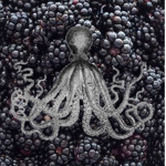 Blackberry Krakens