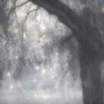 Lonelyywhisper