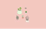 PeachyXgroup
