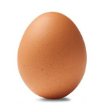 E G G Group