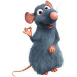 RATSSSSSS :>