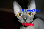 MarweXiks Crew