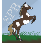Spring Field Barn Equine Group