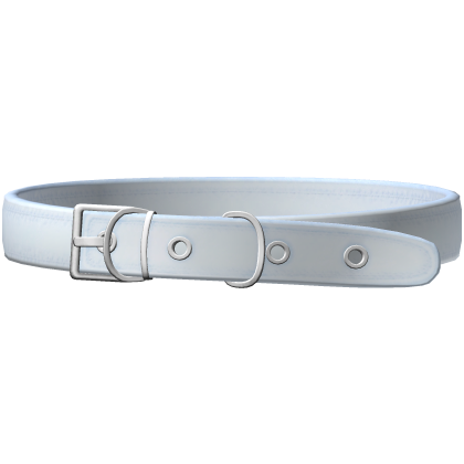 3.0 cute collar in blue