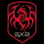 SXB فريق