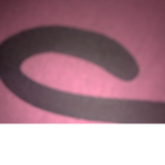 THE STORE$$