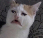 로북이