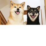 weeny friends