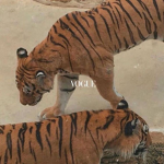 da vibzes