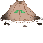 Anthill Creations