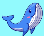 The Winner whale’s