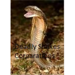 Deadly Snakes Corparations