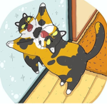 --->CAT<---