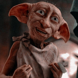 🧦      Dobby