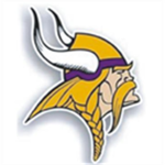 awsome vikings fan club