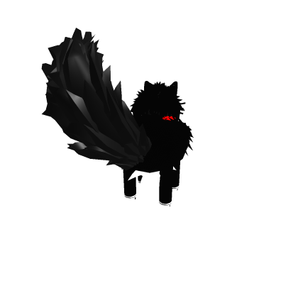 Fluffy black cat