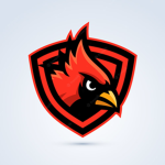 Cardinals BVL Team
