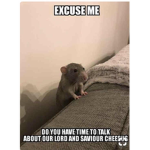 MEME RAT ARMY :)