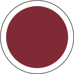 • IMPERIAL JAPANESE AIR SERVICE •