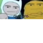 que_pro555