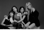 BLACKPINK BLINKS!!!!