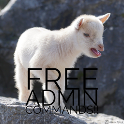 Free commands *UPDATE*